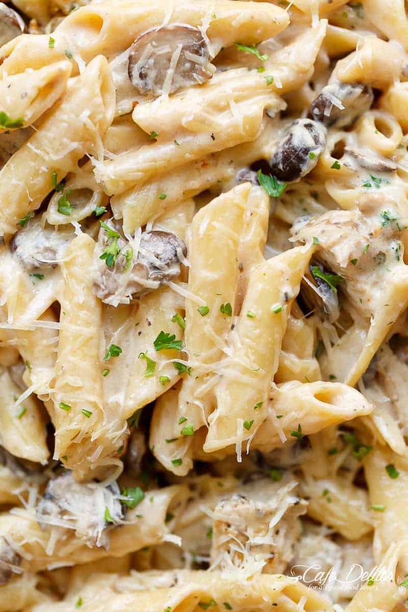 Creamy mushroom pasta picture